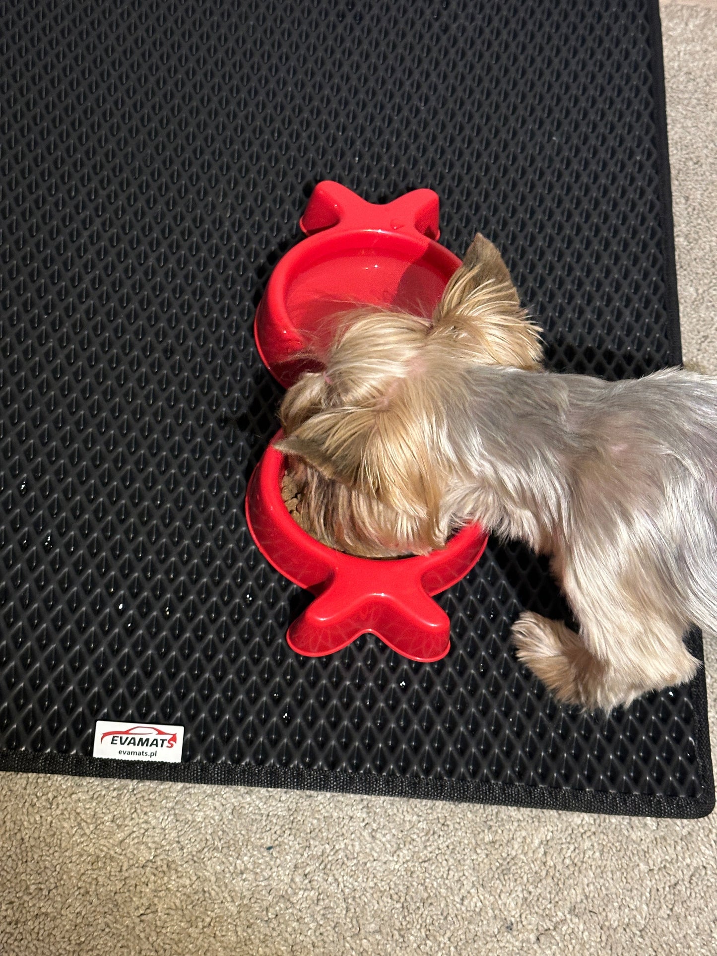 Universal pet mat