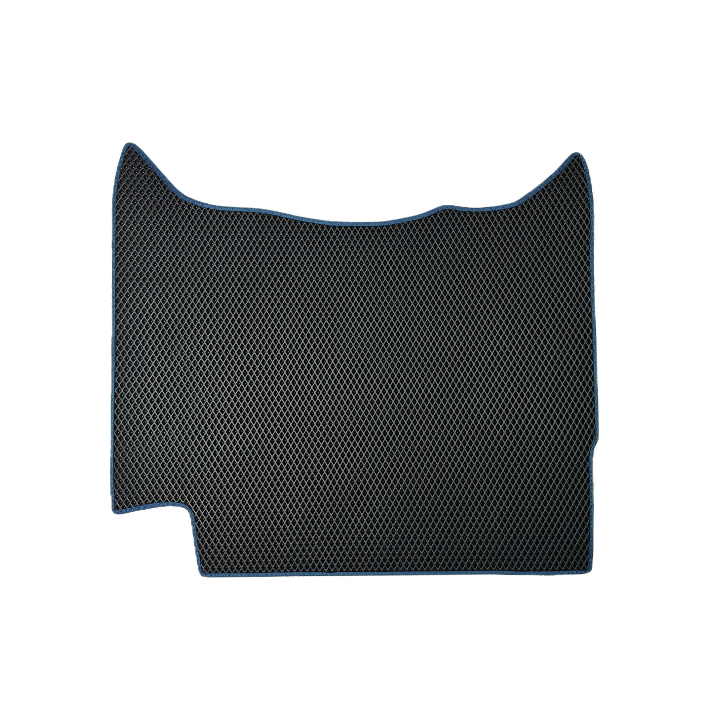 Car mats EVAMATS for Mercedes-Benz Actros 2 gen 2008-2020 year TRUCK