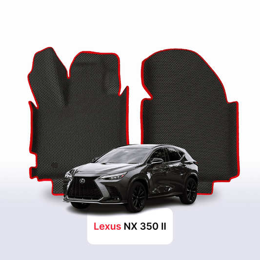 Car mats EVA for Lexus NX 350 2 gen 2021-2028 year SUV