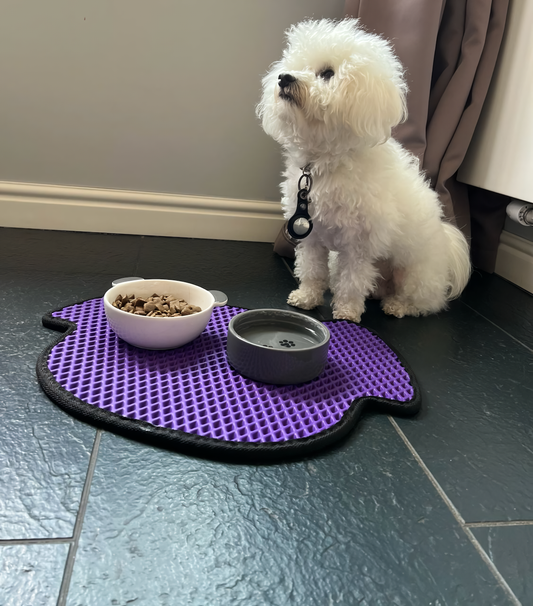 Dog bowl mat