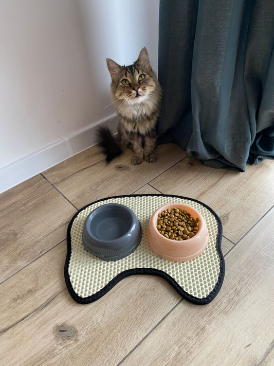 Cat bowl mat